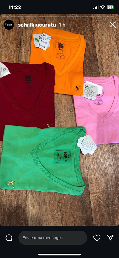 Camiseta Básica Gola V Schalk Feminina